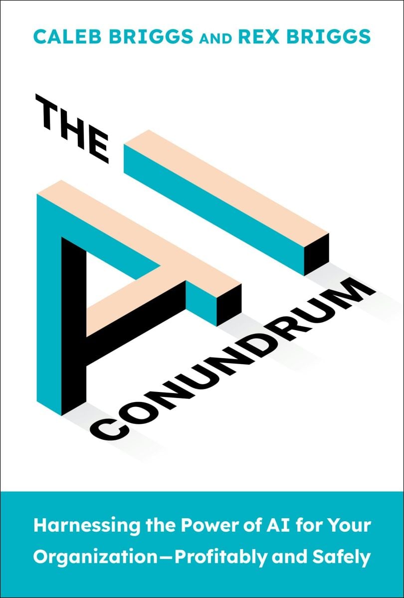 AI Conundrum book cover